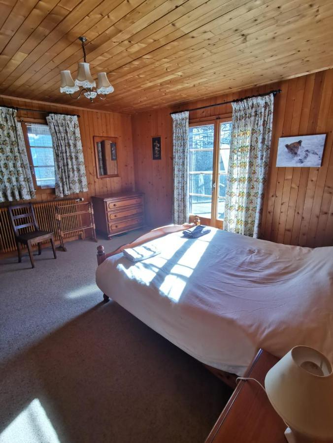 Chalet Traditionnel Avec Jacuzzi Exterieur Bex Екстер'єр фото